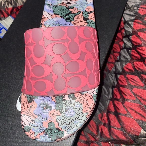 Coach Slides - Picture 1 of 5